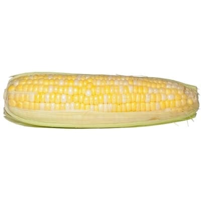 Bi-Colour Corn, Corn on the Cob