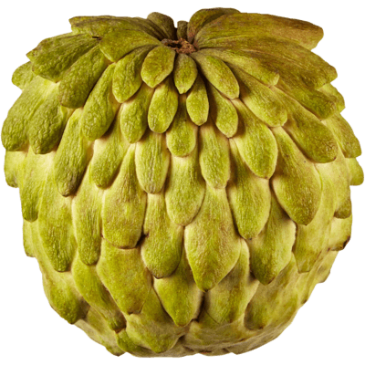 Atemoya