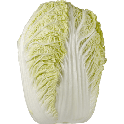 Chinese Napa Cabbage