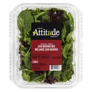 Attitude Fraîche Salade mélange San Marino 142 g
