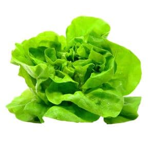 Mann's Better Burger Leaf Laitue aux feuilles vertes 198 g
