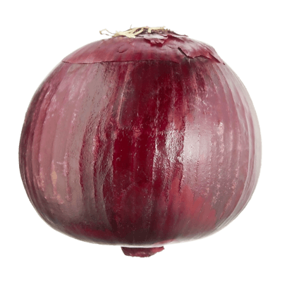 Oignon espagnol