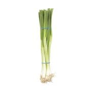 Oignons verts biologiques