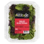 Mélange de salade printanier