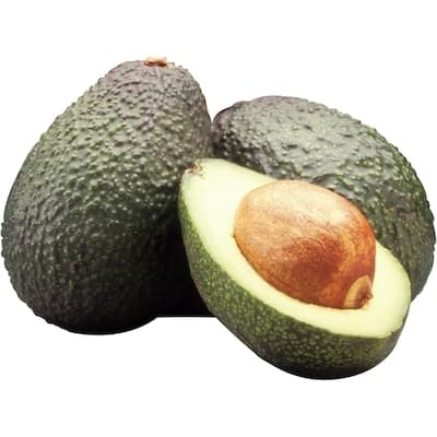 Avocat