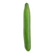 Concombre anglais biologique